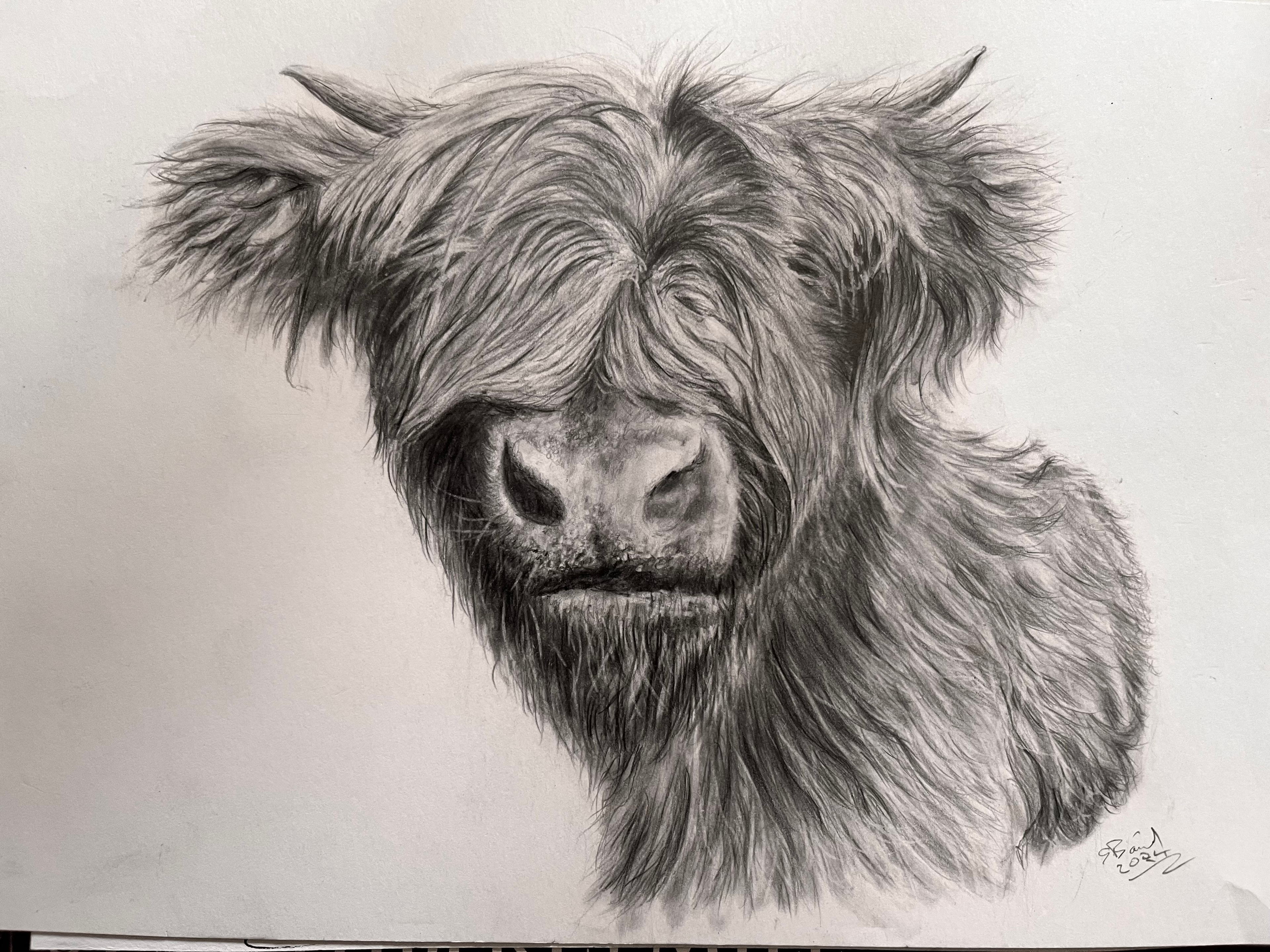 Pet Portrait