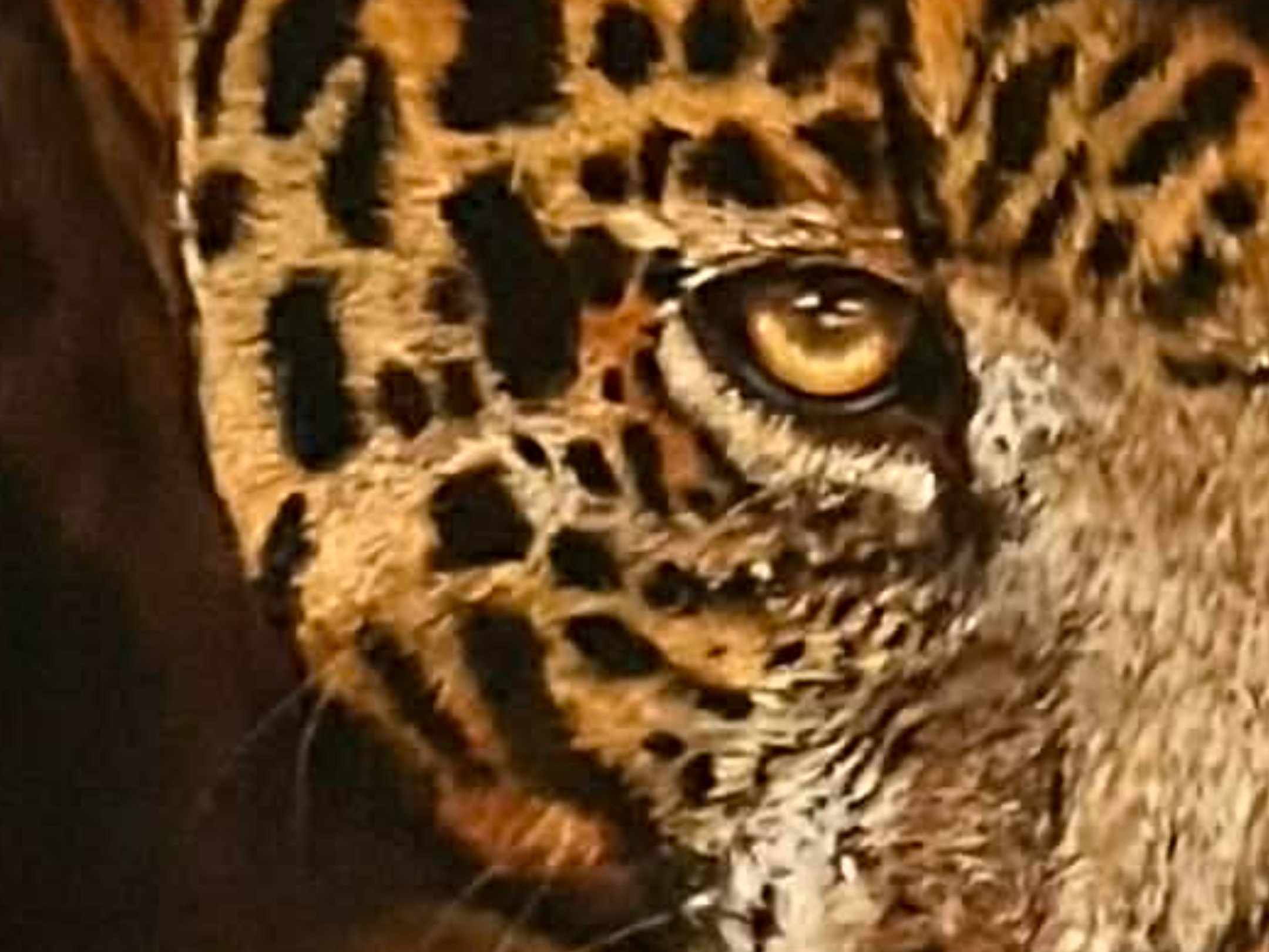 Animal Portrait